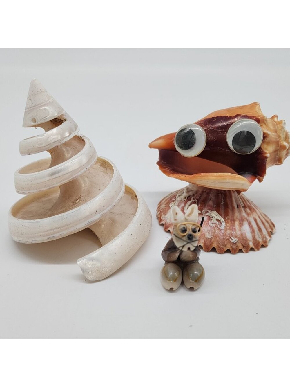 Unique Shell Figure Googly Eyes Bunny Rabbit Spiral Cone Decor Tectus Pyramis